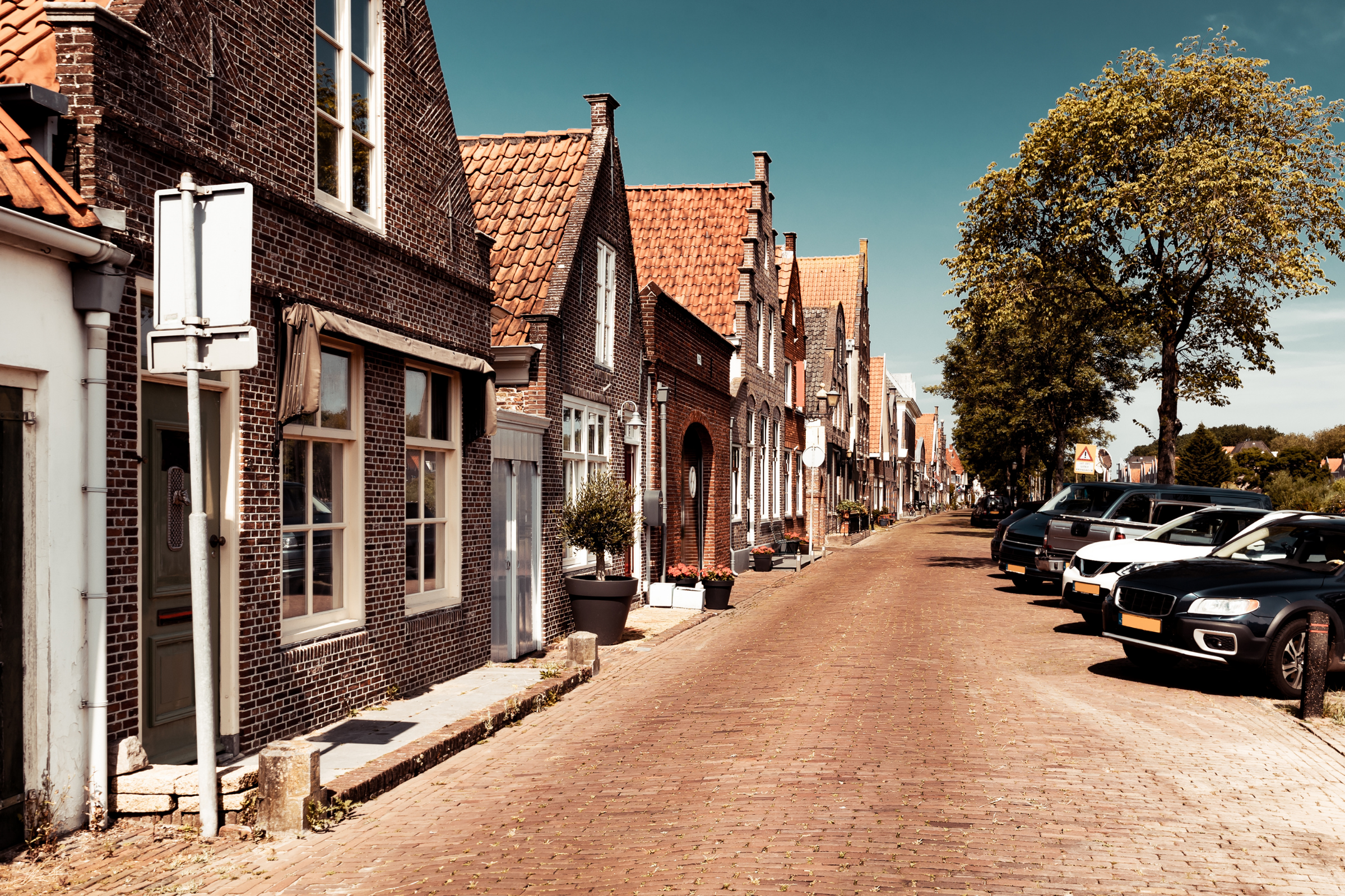 Edam 03.webp